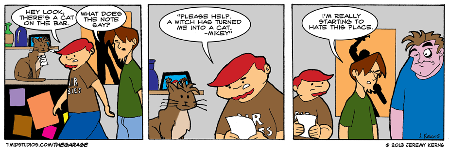 #14 – That Darn Cat